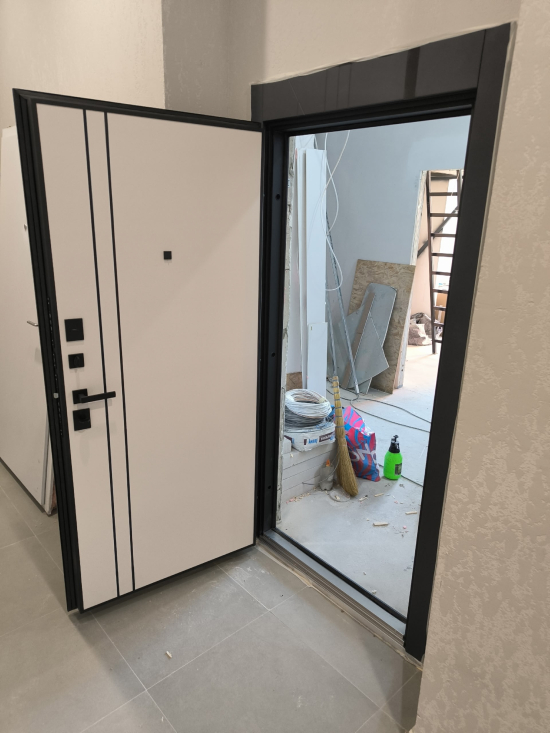 Фото входной двери №37